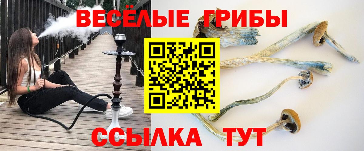 Псилоцибиновые грибы Magic Shrooms  Галлюциногенные грибы мицелий  Вход с VPN  Удомля 